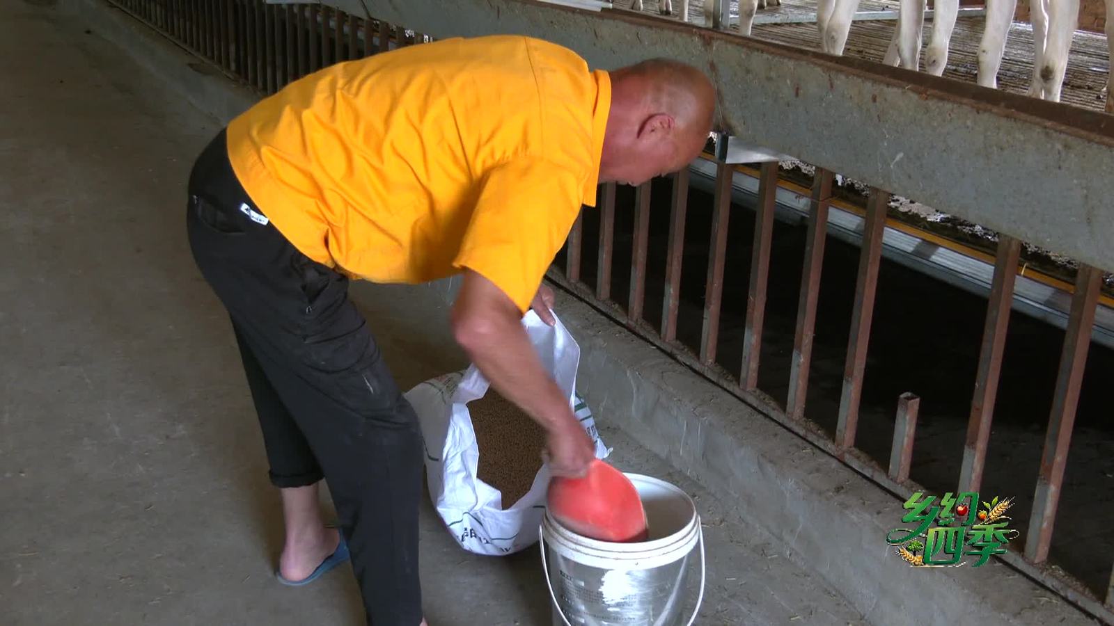 聚力模式创新 解锁咸阳奶山羊养殖新路径